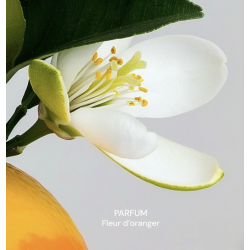 Spray nettoyant salle de bain et cuisine